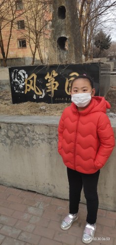 风筝园旅行图片 1