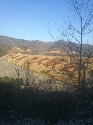 东海大峡谷国家森林公园之茶人谷生态旅游区旅行图片 2