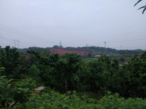 衡阳古墓群旅行图片 1