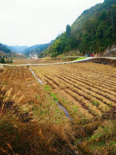 天坪组旅游景点旅行图片 3