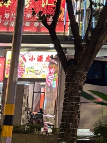 小源龙虾