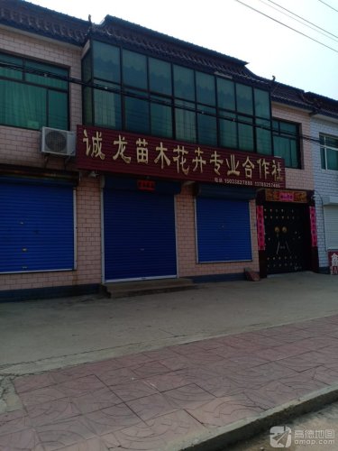 诚龙苗木花卉专业合作社