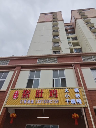 小二胖猪肚鸡