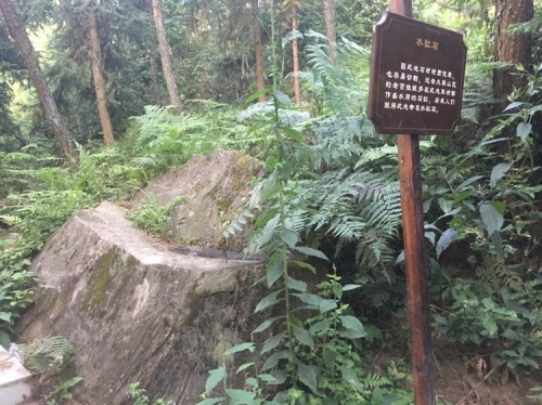 大梁关旅行图片 1