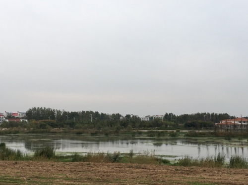 丹土遗址旅行图片 1