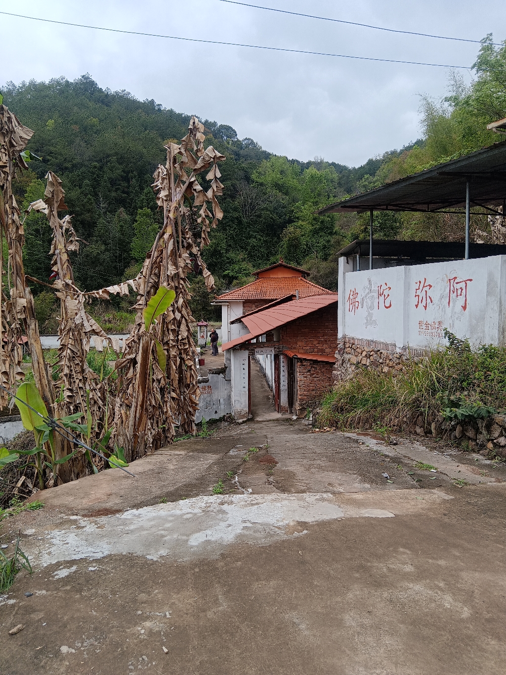 西普陀圆通禅寺实景照片