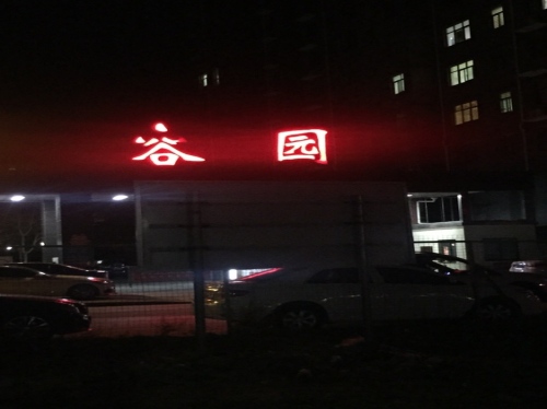 容园公园旅行图片 2
