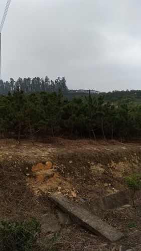 桃源植物园旅行图片 2