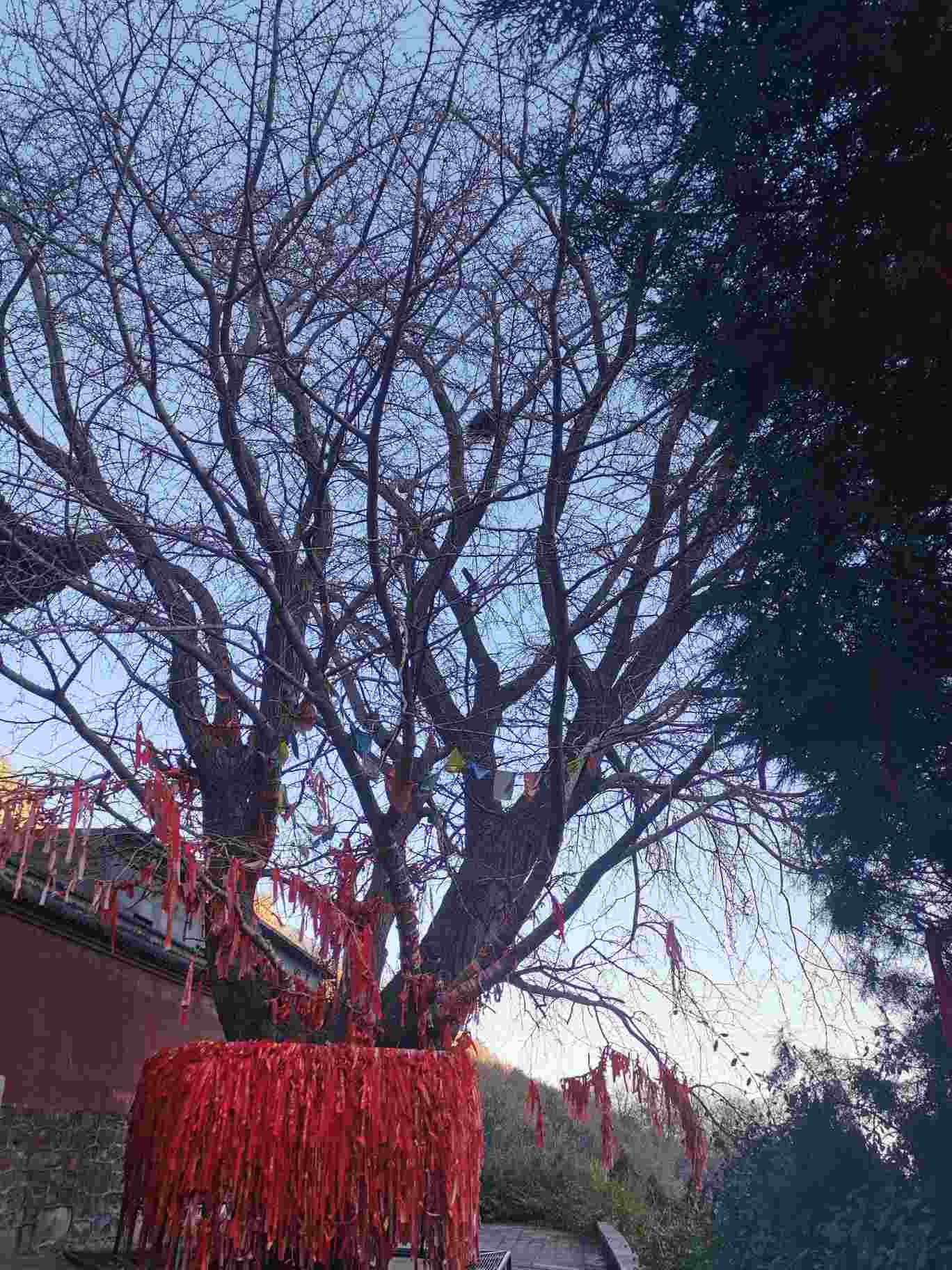 黄华神苑-觉仁寺实景照片