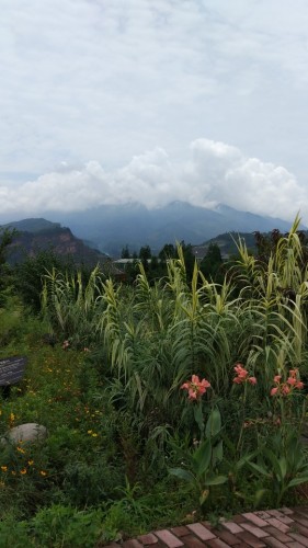 中国藏茶村旅行图片 3