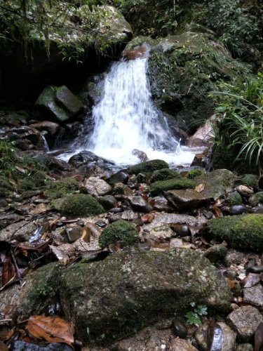 杨东山十二渡水生态旅游区旅行图片 1
