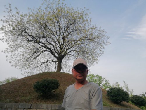 古皋陶墓旅行图片 1