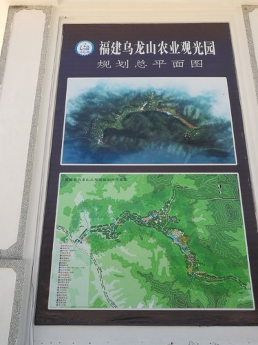 乌龙山桂花大观园旅行图片 2