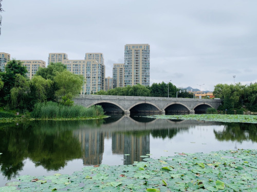 中心湿地旅行图片 1