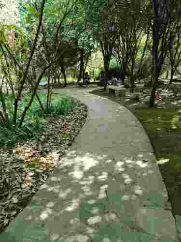 花垣县边城公园管理处旅行图片 1