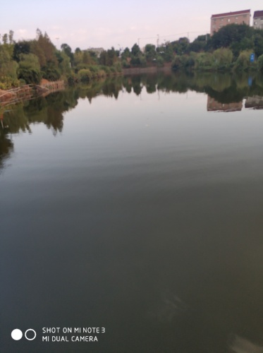 金西峙垅湖公园旅行图片 2