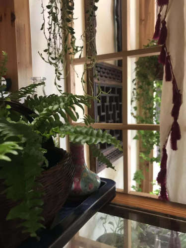 莲花池旅行图片 3