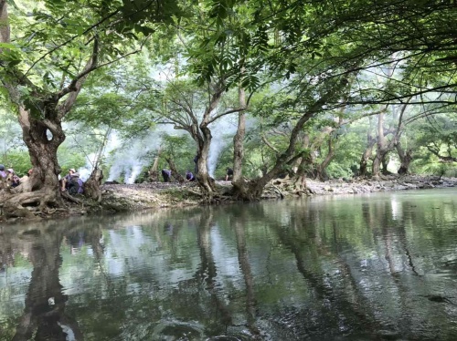 都牙粽情水上森林风景区旅行图片 1