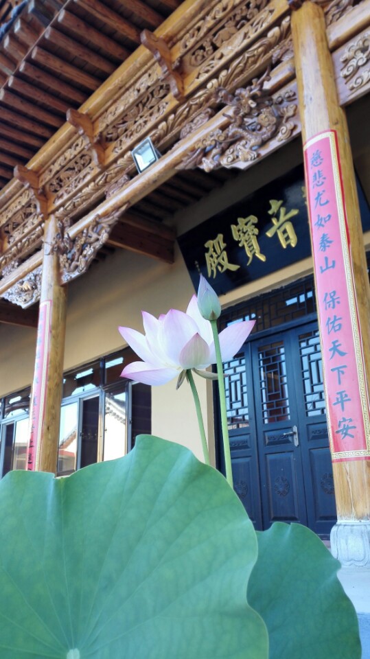 金松寺实景照片