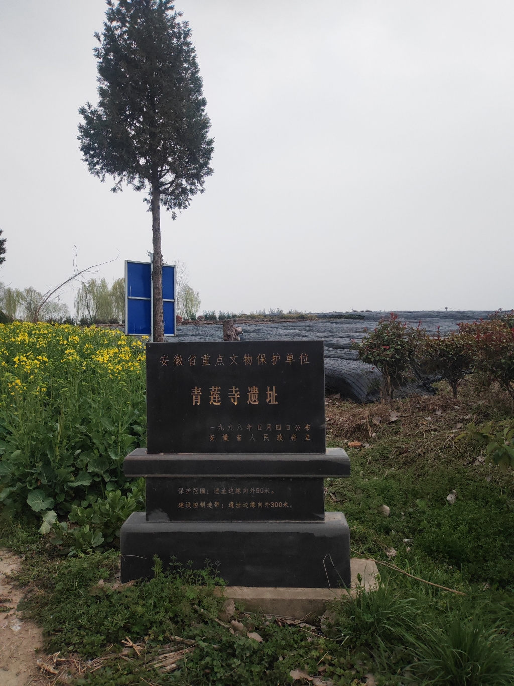 青莲寺遗址实景照片