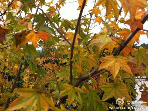 玉观堂实景照片
