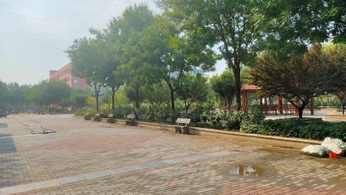 河北无极中学