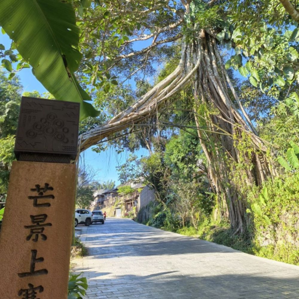 蜂王树景点图片