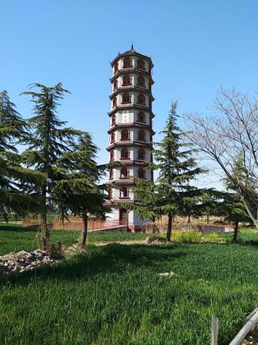 龙兴塔旅行图片 1