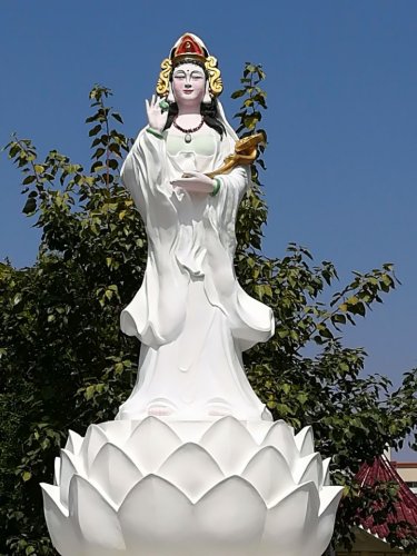 后埔公园旅行图片 1