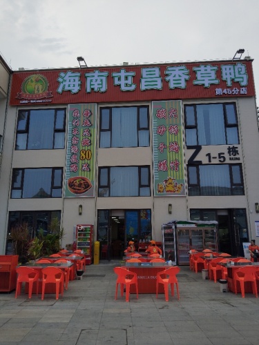 盐禾堂海南屯昌香草鸭