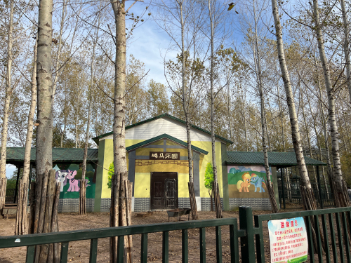 矮马乐园