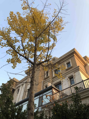 明珠公园旅行图片 2