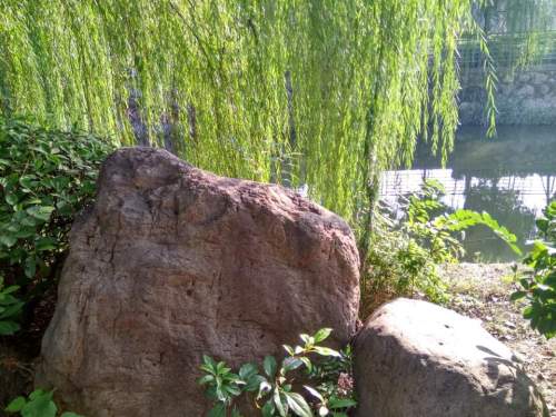 如意滩旅行图片 3