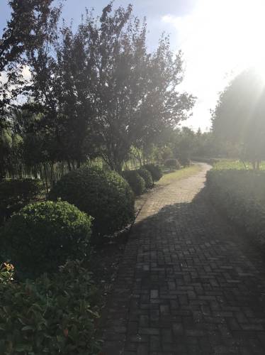 碧溪公园旅行图片 1
