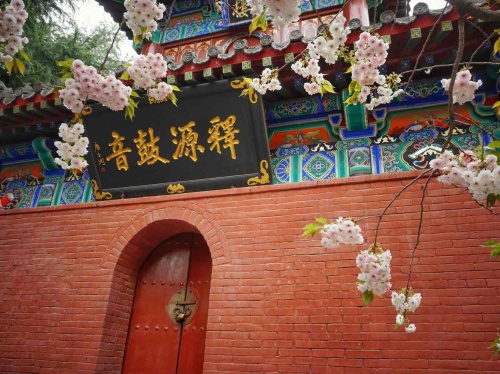 白马寺现场照片 7