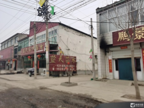 定州市蓝天苗木基地