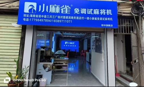 琼中小麻雀免调试麻将机