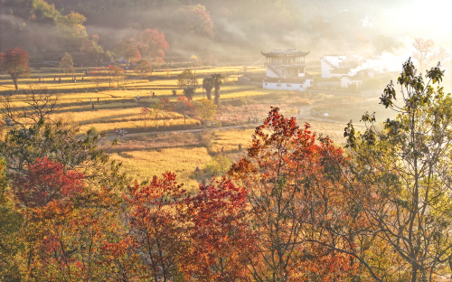 黄山塔川 景点照片
