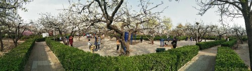 梨花园旅行图片 1