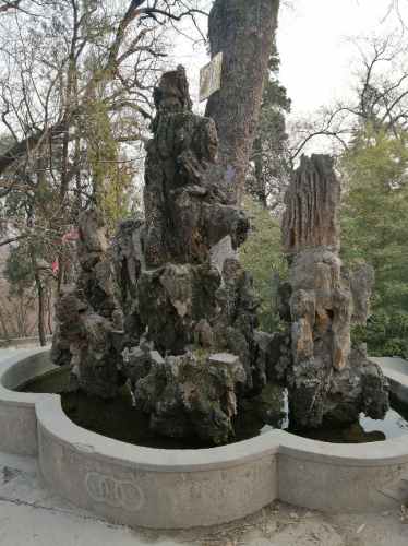 蒋氏文化园旅行图片 1