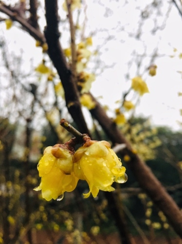 南干渠游园旅行图片 3