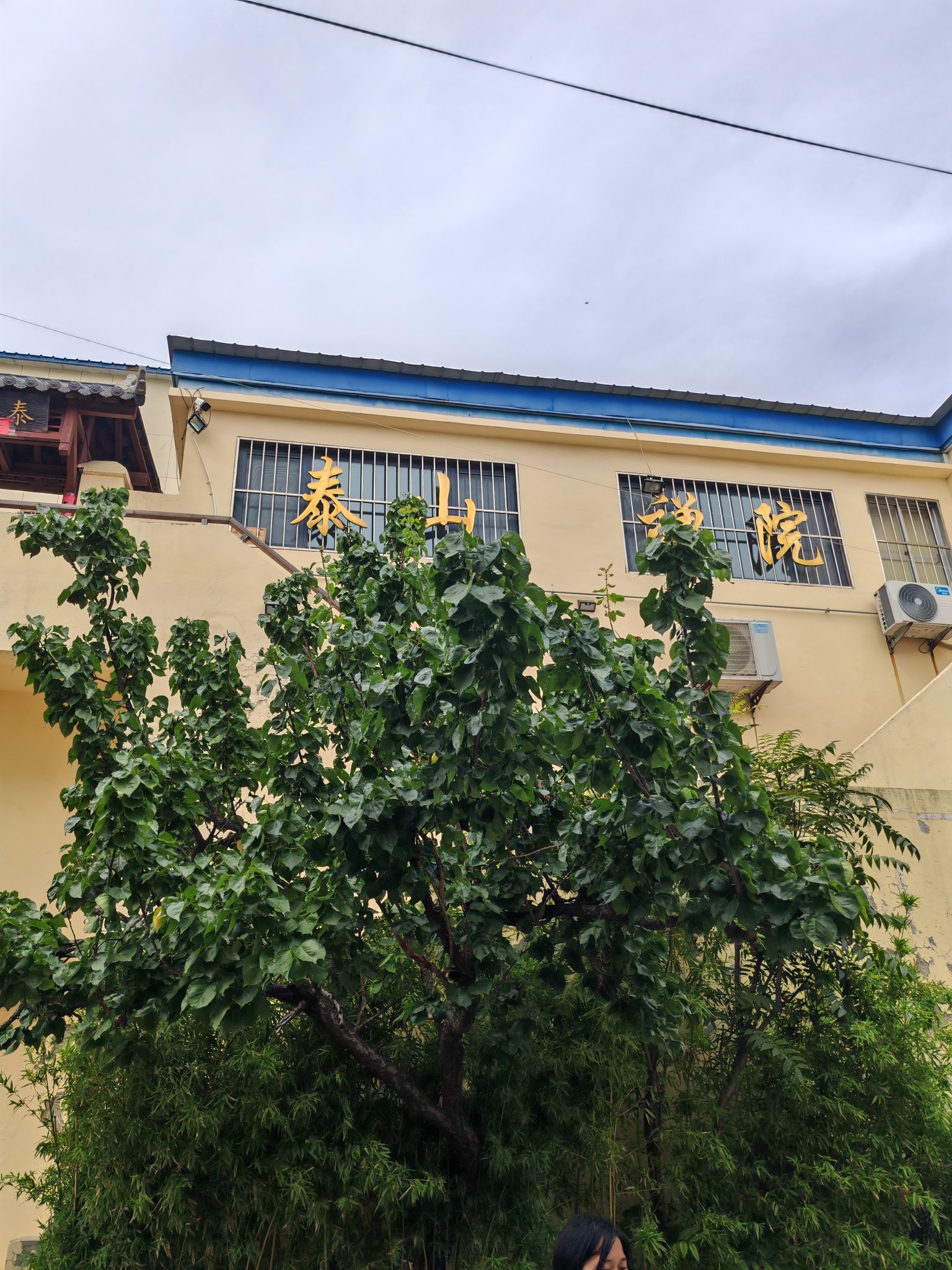 泰山禅院实景照片