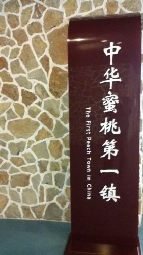 沂蒙山世界地质公园岱崮园区博物馆旅行图片 1