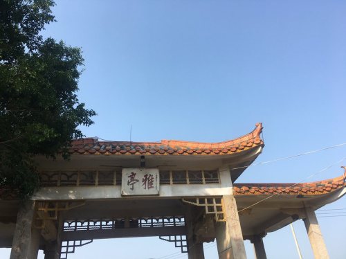 雅亭旅行图片