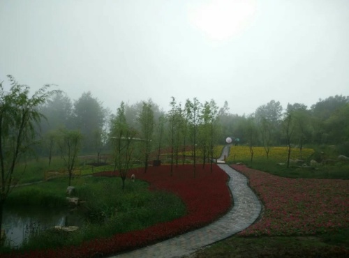 九重花岭旅行图片 2