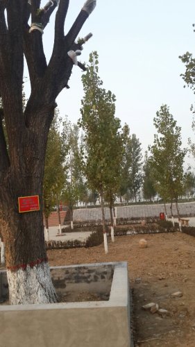 柳洼公园旅行图片 2
