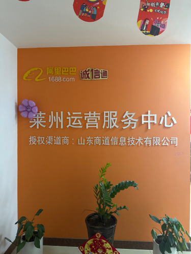 莱州市阿里巴巴产业园实景图（3）