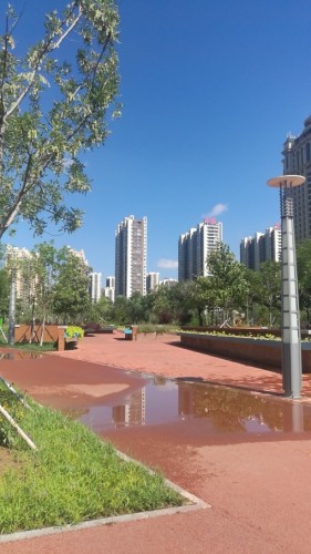 双金公园旅行图片 1