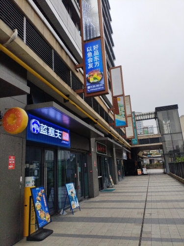 蓝塞夫三文鱼(海口龙湖店)