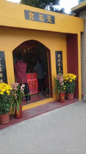 Gallery 2
